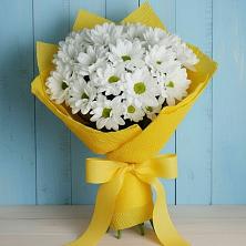 Букет цветов из:  Хризантемы в Васютино