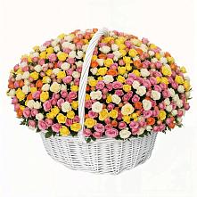 Премиум букет из: Розы в Васютино