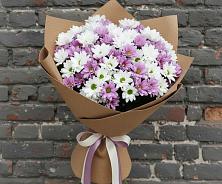 Букет цветов из:  Хризантемы в Васютино