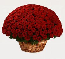 Премиум букет из: Розы в Васютино