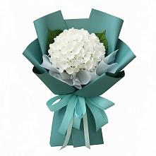 Букет цветов из:  Гортензия в Васютино